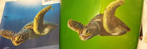 Schildkröte per Airbrush auf einem Motorradteil grünes Motorradteil als Untergrund- darauf ist eine Wasserschildkröte geairbrusht in einem braunton