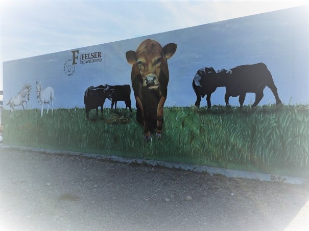 eine Aussenwand wurde mit zwei Pferden und einen kleinen Rinderherde sowie einer 3 meter hohen braunen Kuh geairbrusht die Rinder sind in scharz und die Pferde in weiss