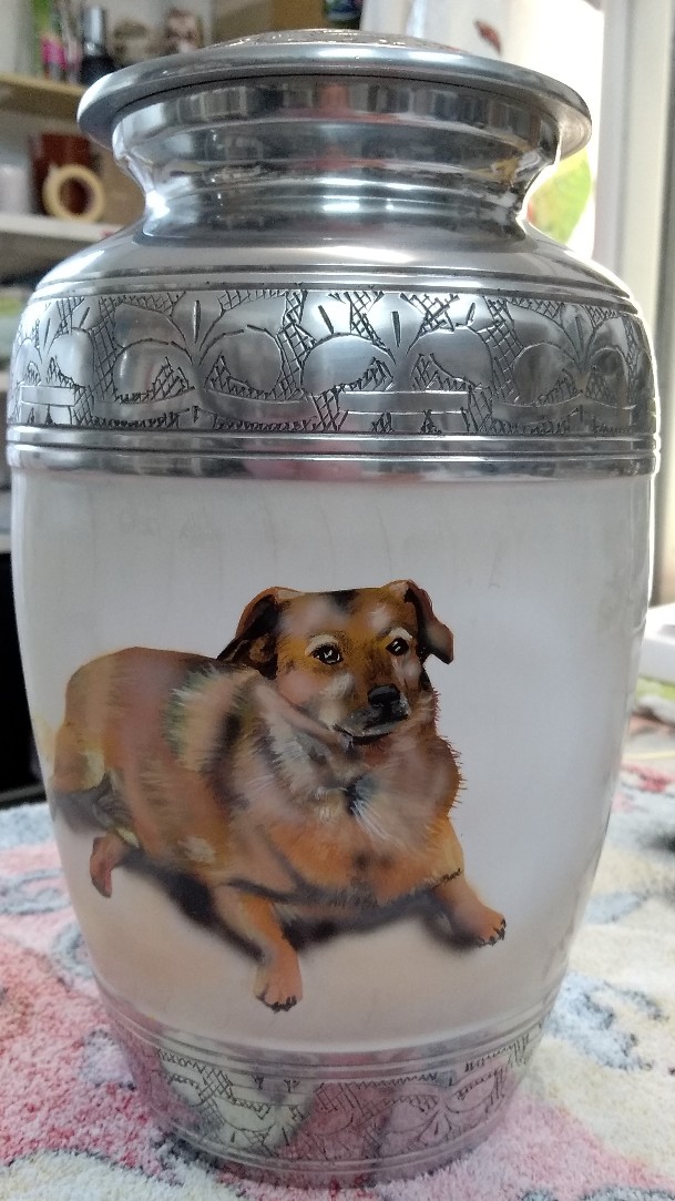 eine weiss-silberne Urne wurde mit einem braunhaarigen Hund geairbrush. Der Hintergrund ist weiss. 