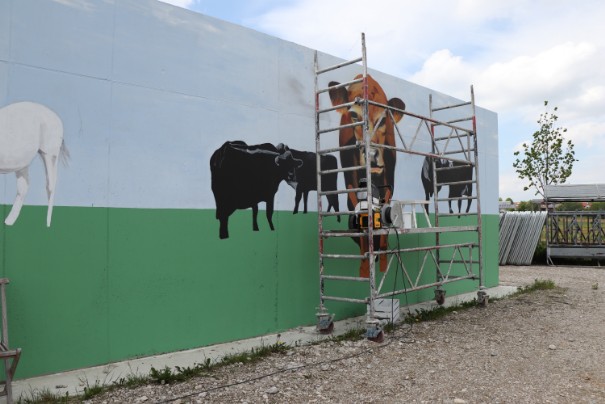 eine Aussenwand wurde mit zwei Pferden und einen kleinen Rinderherde sowie einer 3 meter hohen braunen Kuh geairbrusht die Rinder sind in scharz und die Pferde in weiss unten ist eine grüne Wiese und oben himmelblaue Farbe