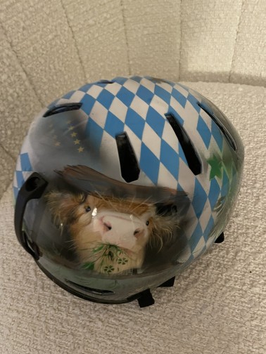 Skihelm geairbrush auf bayerisch mit einer Kuh in blau wiess und brauntönen
